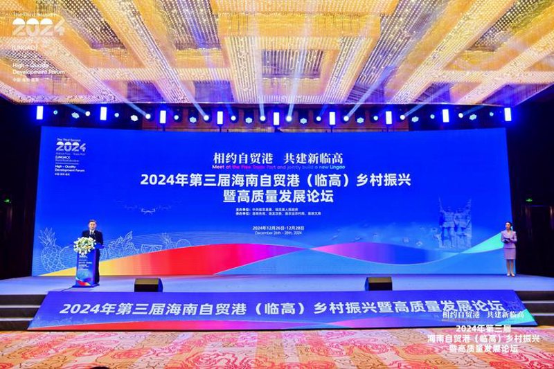 临高网站建设