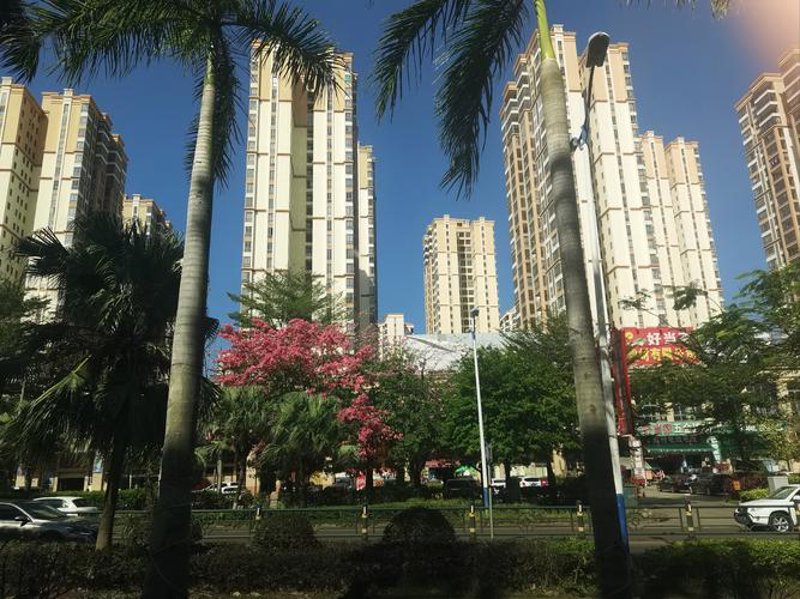 未来科技趋势：临高科技公司的智能场景探索
